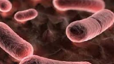 بعد الصين.. منغوليا تسجل أول حالة وفاة بـ