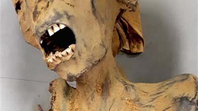 بعد 3000 عام.. الأشعة المقطعية تحل لغز وفاة 