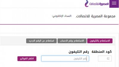 تعرف على خطوات وطرق الاستعلام عن فاتورة الأرضي عبر موقع الرسمية للاتصالات  billing.te.eg