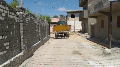 إزالة التعديات المقامة على أراضي الدولة في برج العرب (صور)