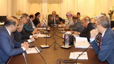 لجنة المشروعات الصغيرة بالبرلمان تناقش توفير قروض للمزارعين 