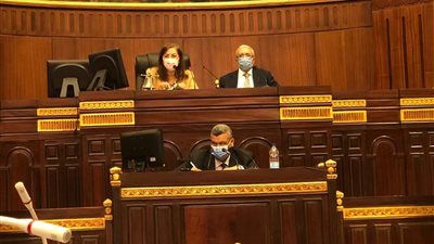 لليوم الثاني.. هالة السعيد تناقش قانون التخطيط أمام مجلس النواب