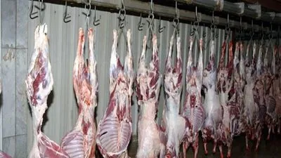 فتح مجازر العاصمة للمواطنين بالمجان أيام عيد الأضحى