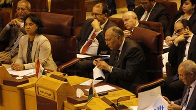 مصر لروسيا: سنتصدى لأي تدخلات أجنبية في ليبيا