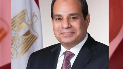 حمدي رزق: السيسي يعرف قيمة الرموز التاريخية (فيديو)