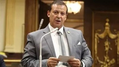 برلماني: كلمة السيسي في 23 يوليو خارطة طريق لمواجهة التحديات