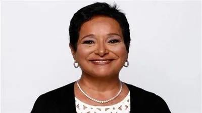 أنيسة حسونة: عام حكم الإخوان نعمة في شكل نقمة