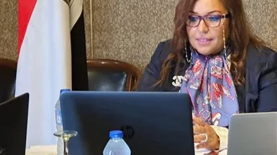 مباحثاث مصرية برازيلية لزيادة التعاون في الطاقة والغاز الطبيعي والمنسوجات