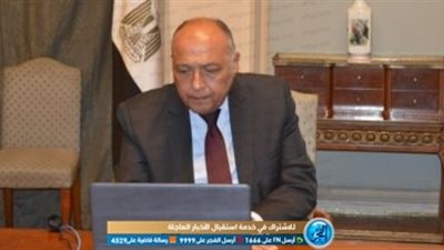 انتخاب مصر نائب لرئيس المجلس عن المقعد الإفريقي لمدة عام 
