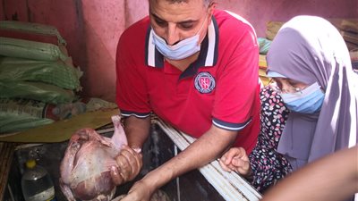 التحفظ على طن لحوم ودواجن فاسدة في الدقهلية (صور)