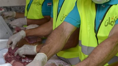 الأورمان تواصل ذبح وتوزيع الأضاحي في ثاني أيام عيد الأضحى بأسوان (صور)