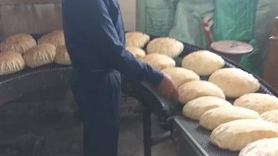 تفاصيل احتلال الدقهلية المركز الثاني بالجمهورية في قروض المشاريع