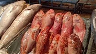أسعار الأسماك اليوم الإثنين 3-8-2020 .. كيلو 