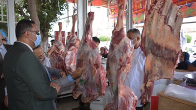 محافظ الدقهلية: 11 ألف أسرة أولى بالرعاية تسلموا لحوم العيد