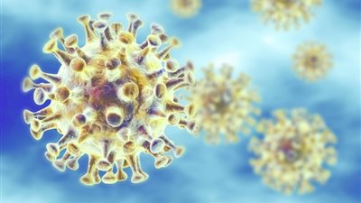 في أسبوع.. 3 أوبئة قاتلة تنضم إلي قائمة فيروسات 2020