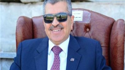 الفريق أسامة ربيع: قناة السويس الجديدة هدية مصر للعالم (فيديو)