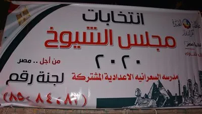اليوم.. 4 ملايين مواطن يدلون بأصواتهم في انتخابات مجلس الشيوخ بالبحيرة