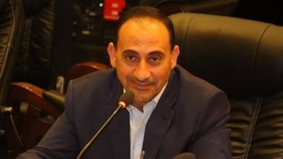 برلماني يؤكد أهمية مجلس الشيوخ.. ويناشد المواطنين بالمشاركة