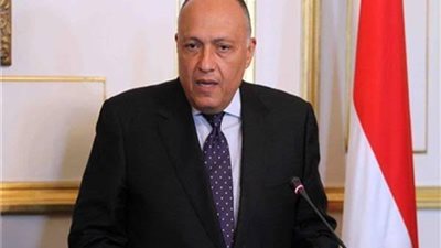 سامح شكرى يبحث مع وليد جنبلاط آخر مستجدات الوضع بلبنان