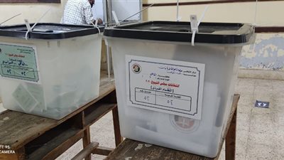 إغلاق أبواب اللجان بالساحل في أول أيام انتخابات مجلس الشيوخ (صور)