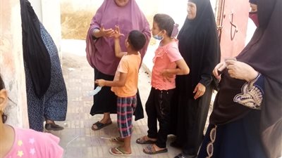 كبار السن والسيدات يتصدرون انتخابات الشيوخ في كفر الشيخ (صور)