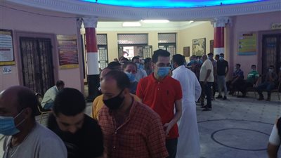 إقبال كثيف في انتخابات الشيوخ عقب فتح لجنة للمغتربين بدمنهور (صور)