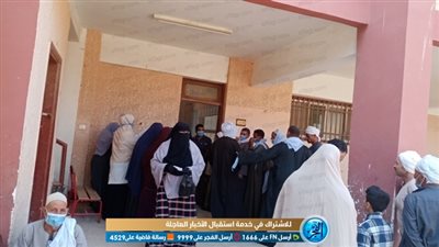 انتخابات الشيوخ 2020| 