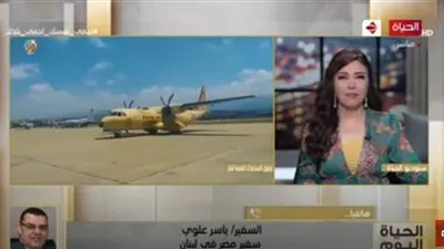 سفير مصر في بيروت: مصر حريصة على مساعدة الأشقاء من المحيط للخليج (فيديو)