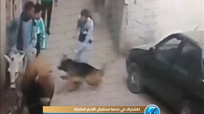 شاهد.. شاب يروع المواطنين بكلب ضخم في المنيا (فيديو)