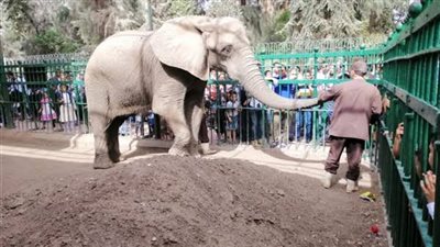 قبيل ساعات من فتحها.. 9 إجراءات من الدولة لحماية زوار حديقة الحيوان