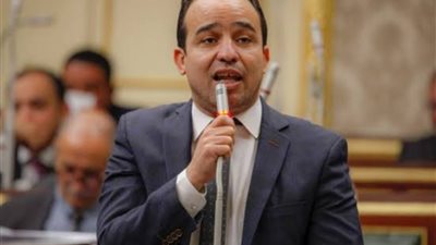 برلماني: مصر تسير على الطريق الصحيح في مجال الاتصالات وتكنولوجيا المعلومات