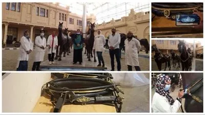 كتيبة مرممين متحف المركبات تنتهي من تجهيز مجموعة سروج نادرة (صور)