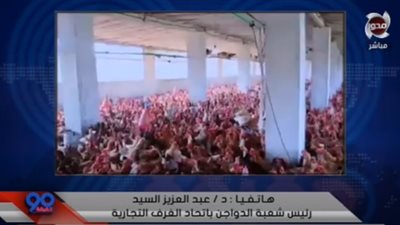 وصلت إلى 16 جنيه.. أسباب انخفاض أسعار الدواجن (فيديو)