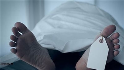 سيدة تقتل حماها بماسورة حديدية وترمي جثته بالزراعات في المنيا