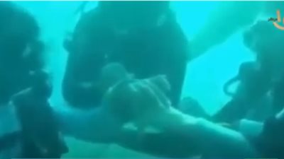 شاهد.. صاحب فكرة حفل الزفاف تحت الماء يكشف الكواليس