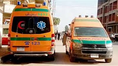 إصابة 7 أشخاص إثر تعرضهم لحادث سير بالمنيا