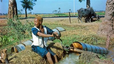 التفاصيل الكاملة لمشروع تطوير الريف المصري