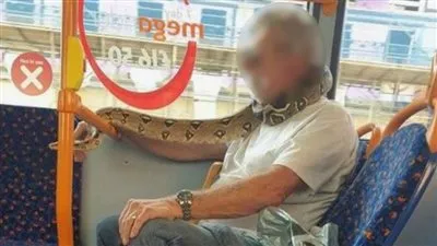 رجل يستخدم ثعبان حي كقناع للوجه داخل إحدى الحافلات