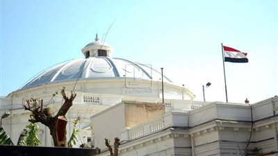 ننشر شروط والمستندات المطلوبة لترشح المصريين بالخارج في مجلس النواب 