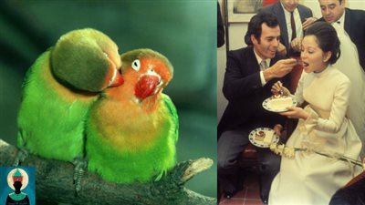 الطالع الفلكي الأربِعَاء 23/9/2020..زُوجَة صَالحَة!