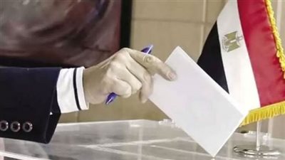 منظمات دولية ومواعيد الدعاية.. هذا ما ينتظر انتخابات مجلس النواب