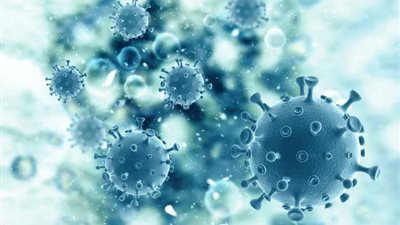 فيروس جديد يضرب الهند ..تعرف علي التفاصيل 