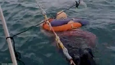 معجزة.. العثور على امرأة حية وسط البحر بعد عامين من اختفائها