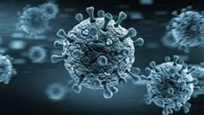 شاهد.. أستاذ صحة عامة: مصر اقتربت من الانتصار على الموجة الأولى لـ