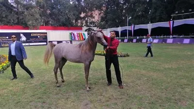 بعد توجيهات الرئيس بتطويرها.. معلومات عن مزرعة 