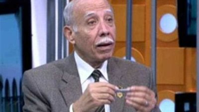 مستشار بأكاديمية ناصر: الجيش والشرطة هما ذراعي شعب مصر (فيديو)