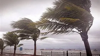 مركز تغير المناخ: البلاد تتعرض لعاصفة التنين هذا العام (فيديو)