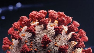 أستاذ فيروسات: الموجة الثانية لكورونا أكثر شراسة 