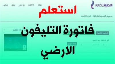 معرفة قيمة فاتورة التليفون الأرضي لشهر أكتوبر من خلال مصاريف وفوري فقط برقم الهاتف لعام 2020