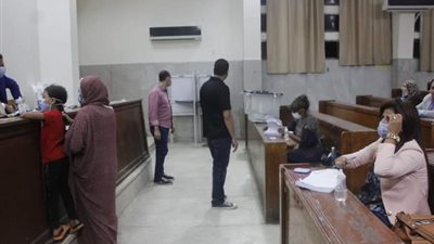 في أخر دقائق التصويت.. لجان الدقي تشهد إقبال الناخبين في انتخابات النواب 2020 (صور) 